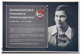 дш3