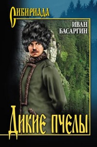 Басаргин 2